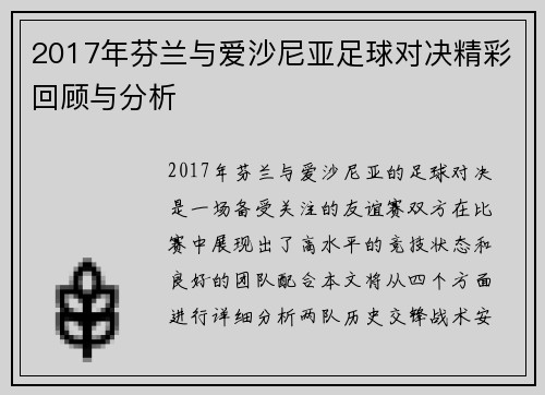 2017年芬兰与爱沙尼亚足球对决精彩回顾与分析