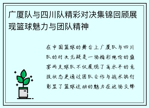 广厦队与四川队精彩对决集锦回顾展现篮球魅力与团队精神