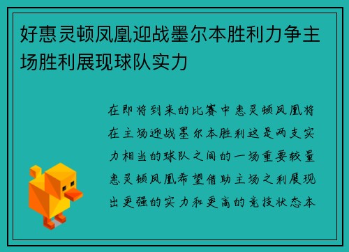好惠灵顿凤凰迎战墨尔本胜利力争主场胜利展现球队实力