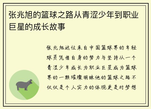张兆旭的篮球之路从青涩少年到职业巨星的成长故事