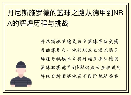丹尼斯施罗德的篮球之路从德甲到NBA的辉煌历程与挑战
